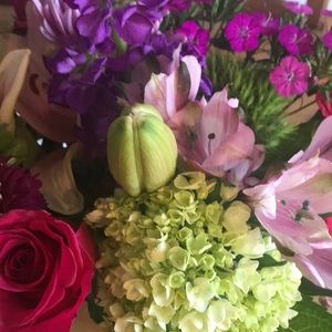 Meet your Posher, Danielle